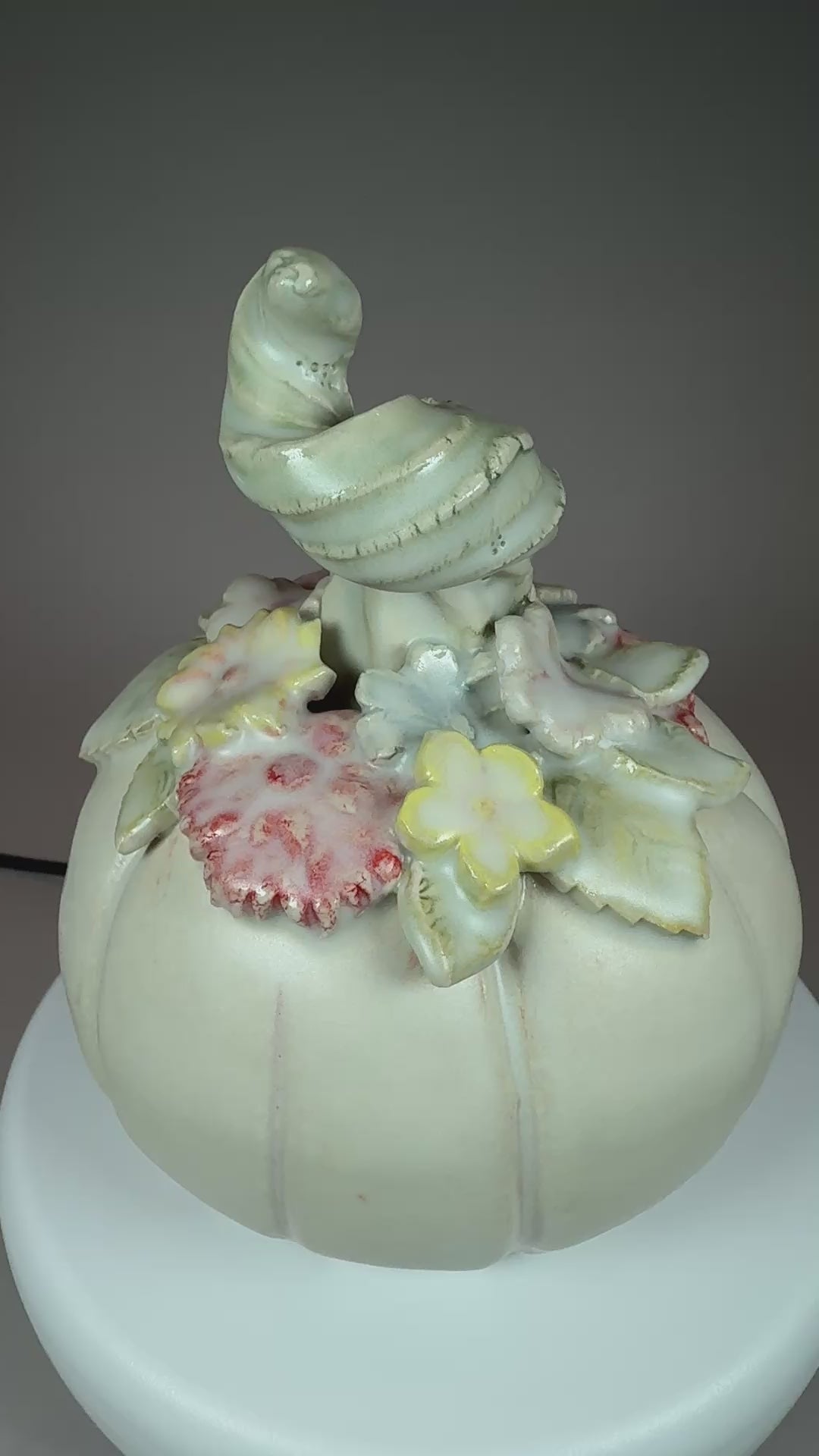 368 pumpkin.MOV