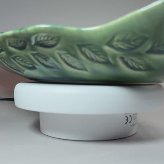 bowl_274.MOV