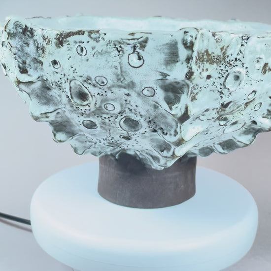 bowl, sea urchant.MOV