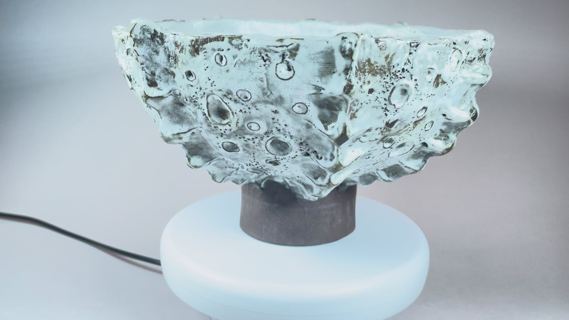 bowl, sea urchant.MOV