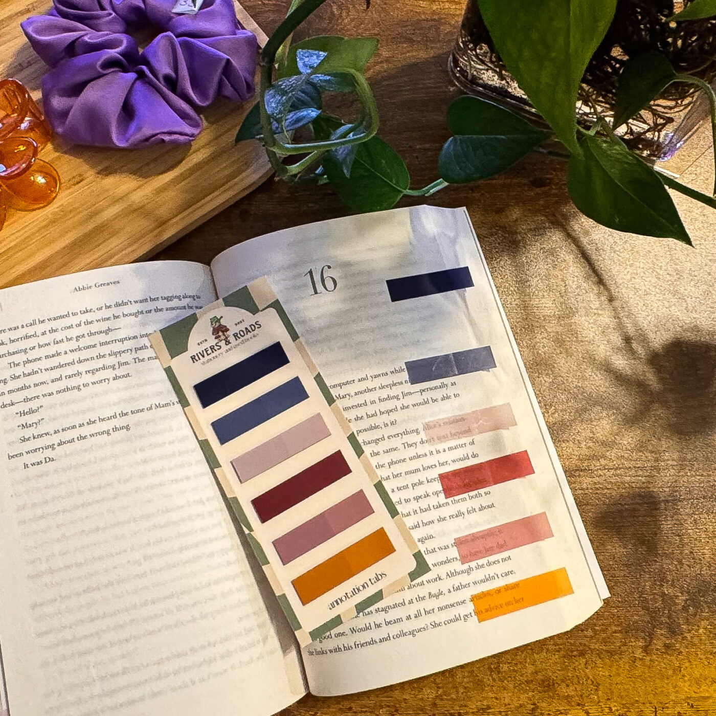 Annotation Tabs - Coloured Series 2 (choose one)