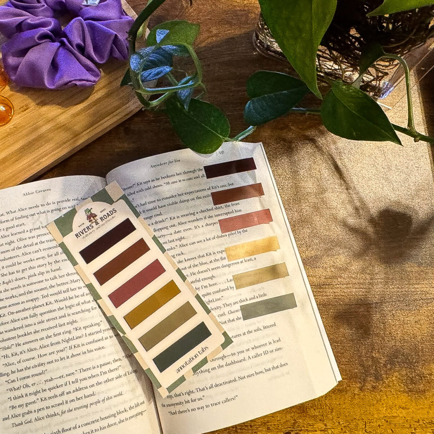 Annotation Tabs - Coloured Series 2 (choose one)