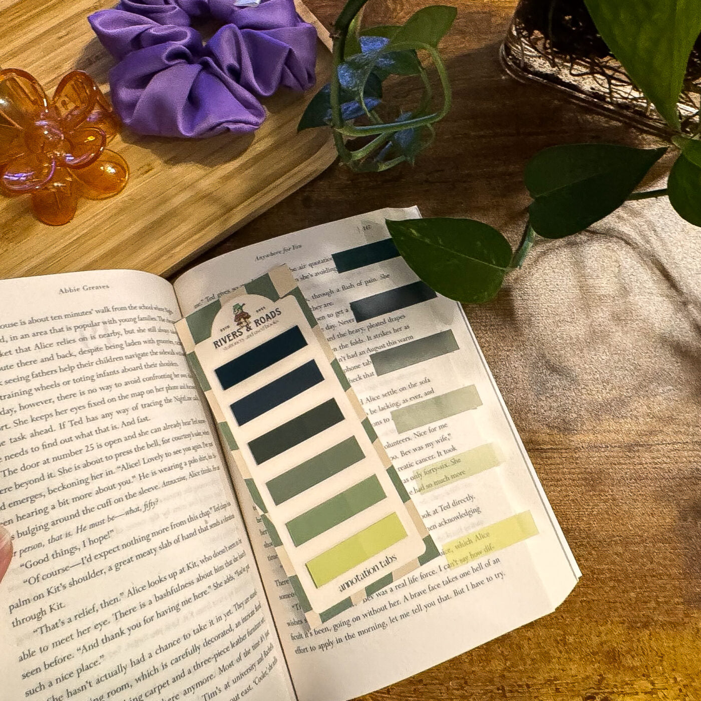 Annotation Tabs - Coloured Series 2 (choose one)