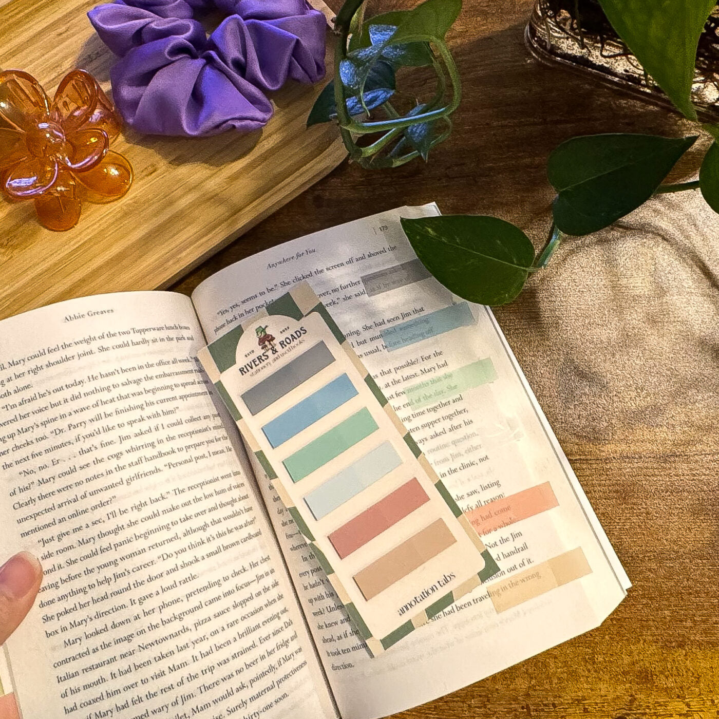 Annotation Tabs - Coloured Series 3 (choose one)