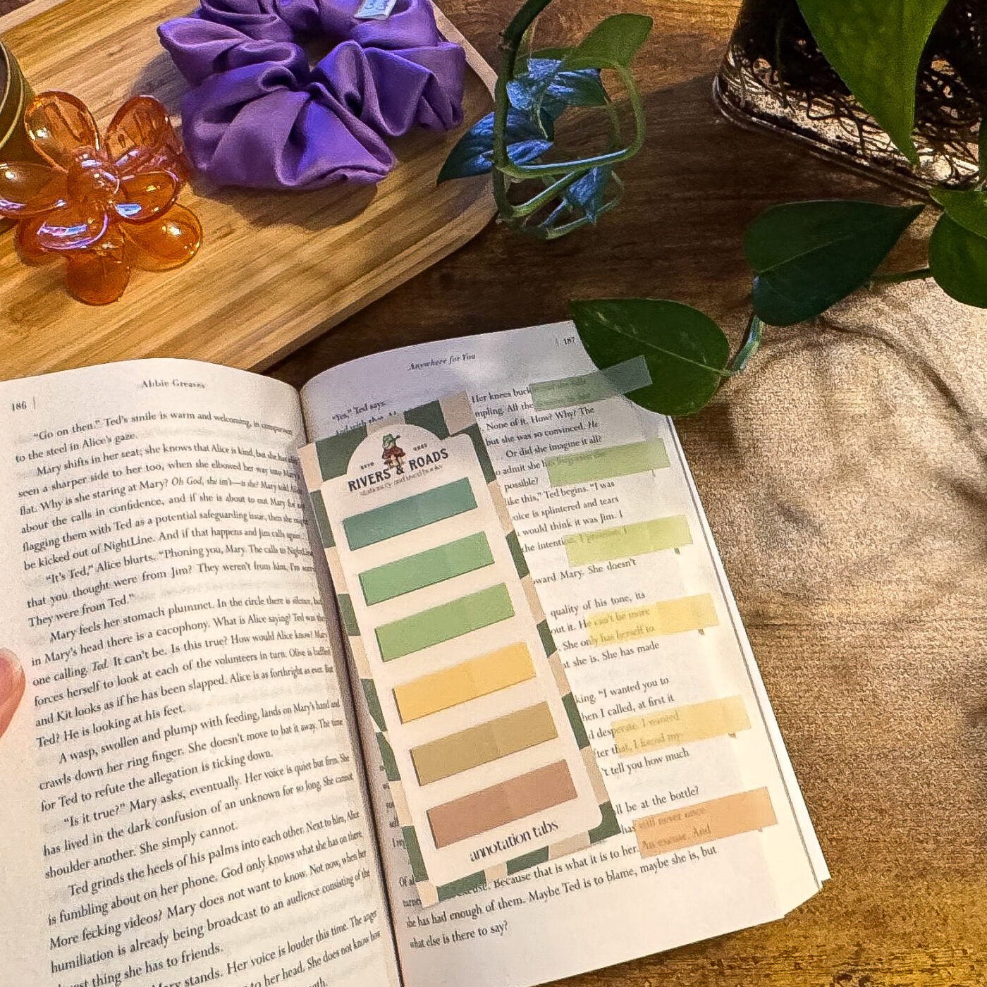 Annotation Tabs - Coloured Series 3 (choose one)