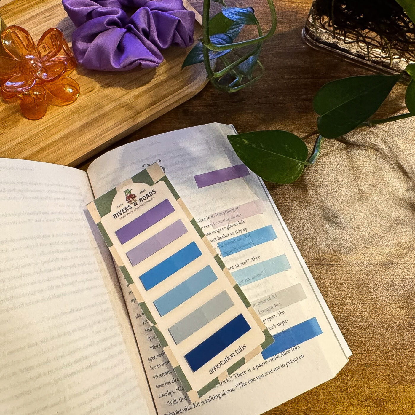 Annotation Tabs - Coloured Series 3 (choose one)
