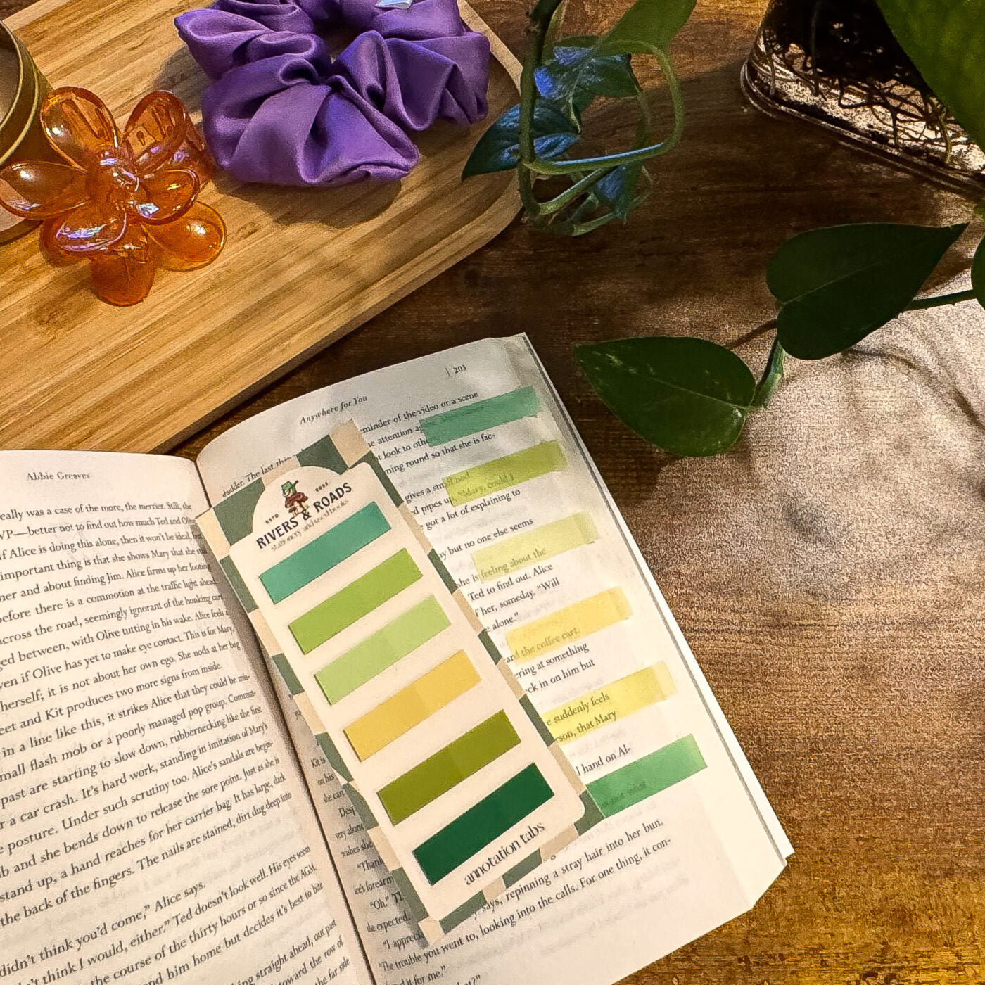 Annotation Tabs - Coloured Series 3 (choose one)