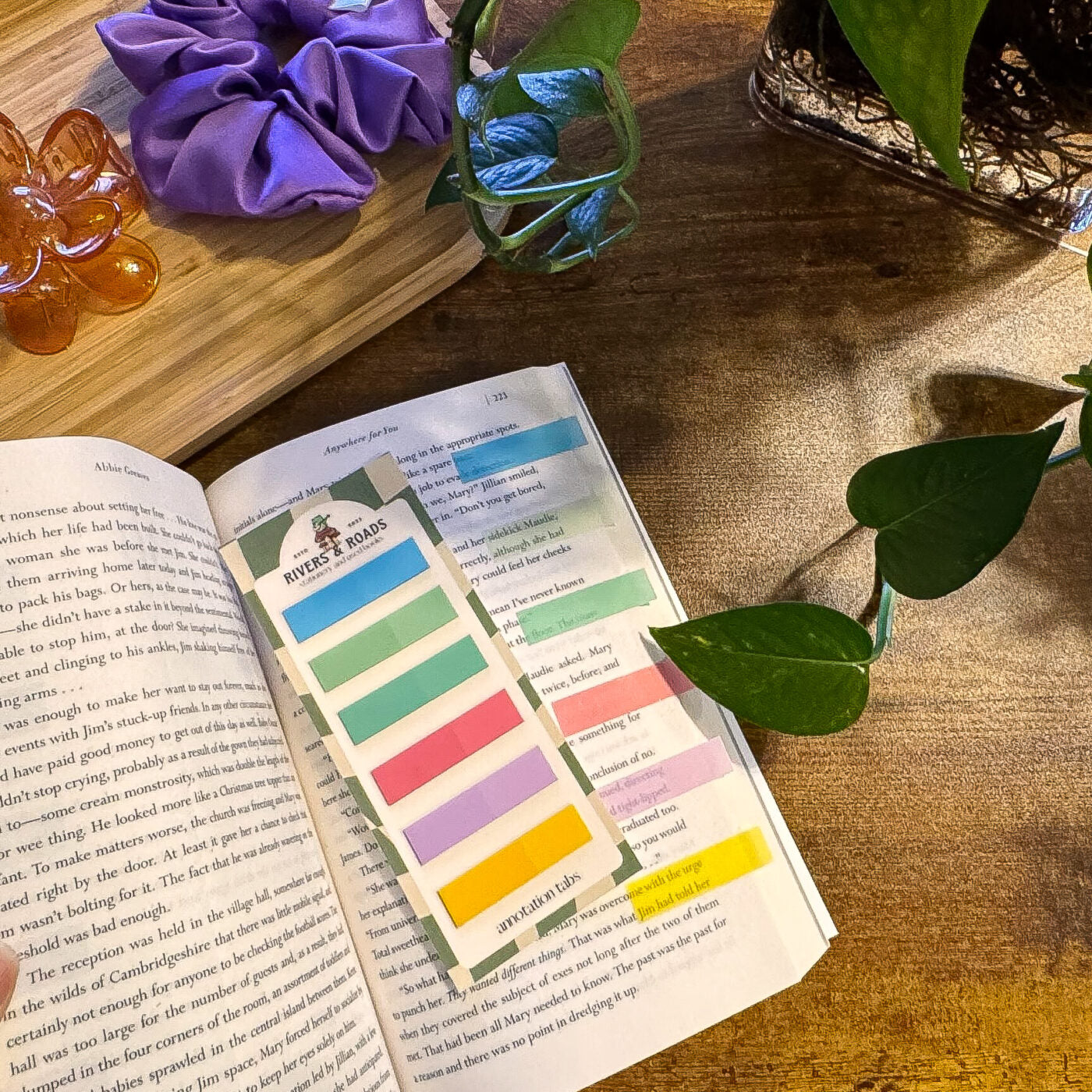 Annotation Tabs - Coloured Series 4