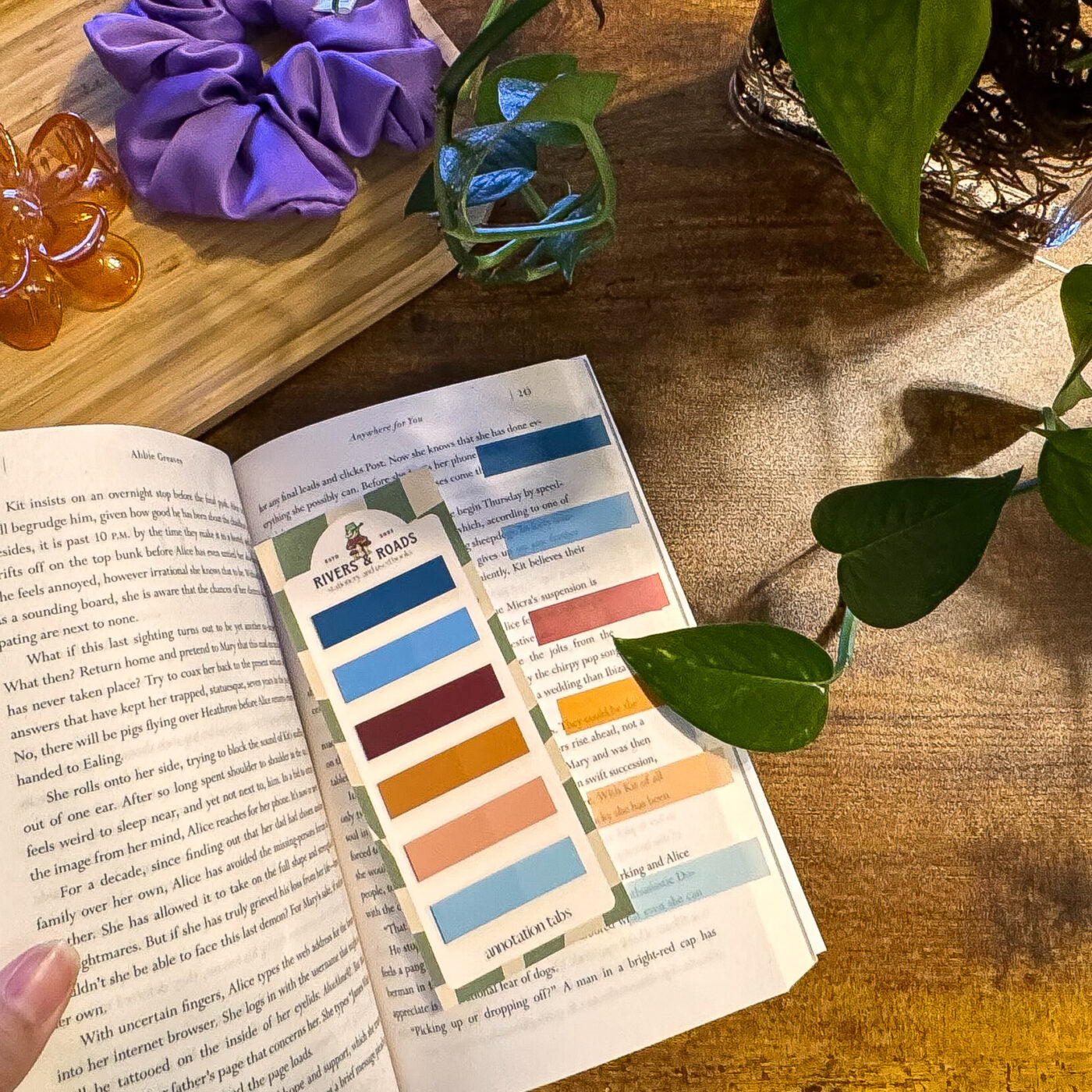 Annotation Tabs - Coloured Series 4
