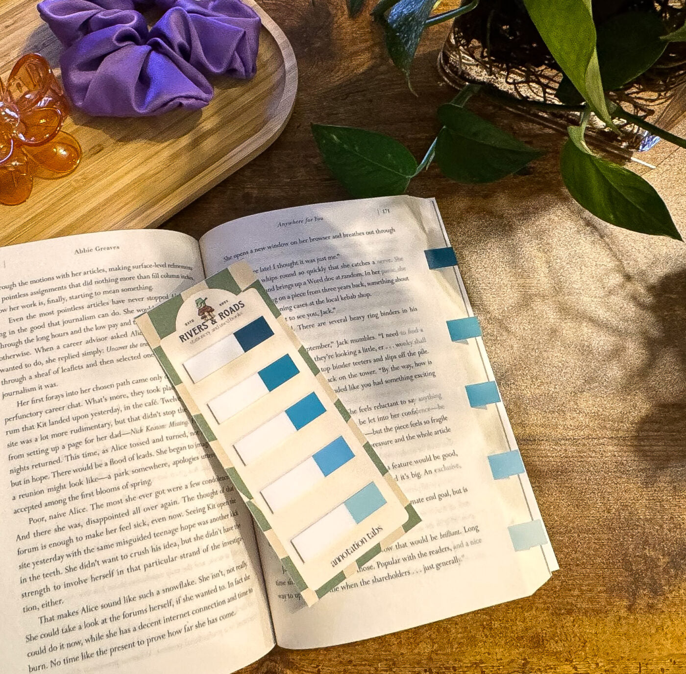 Annotation Tabs - Transparent Series 2 (choose one)