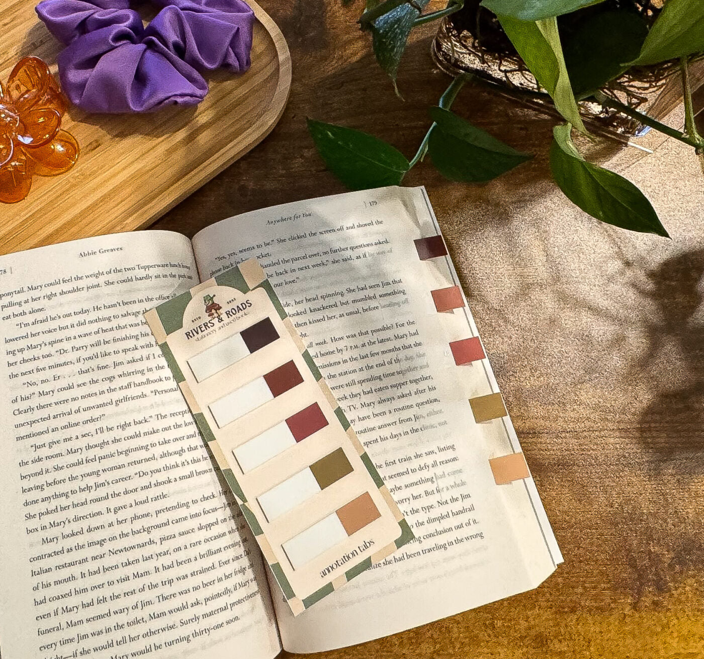 Annotation Tabs - Transparent Series 2 (choose one)