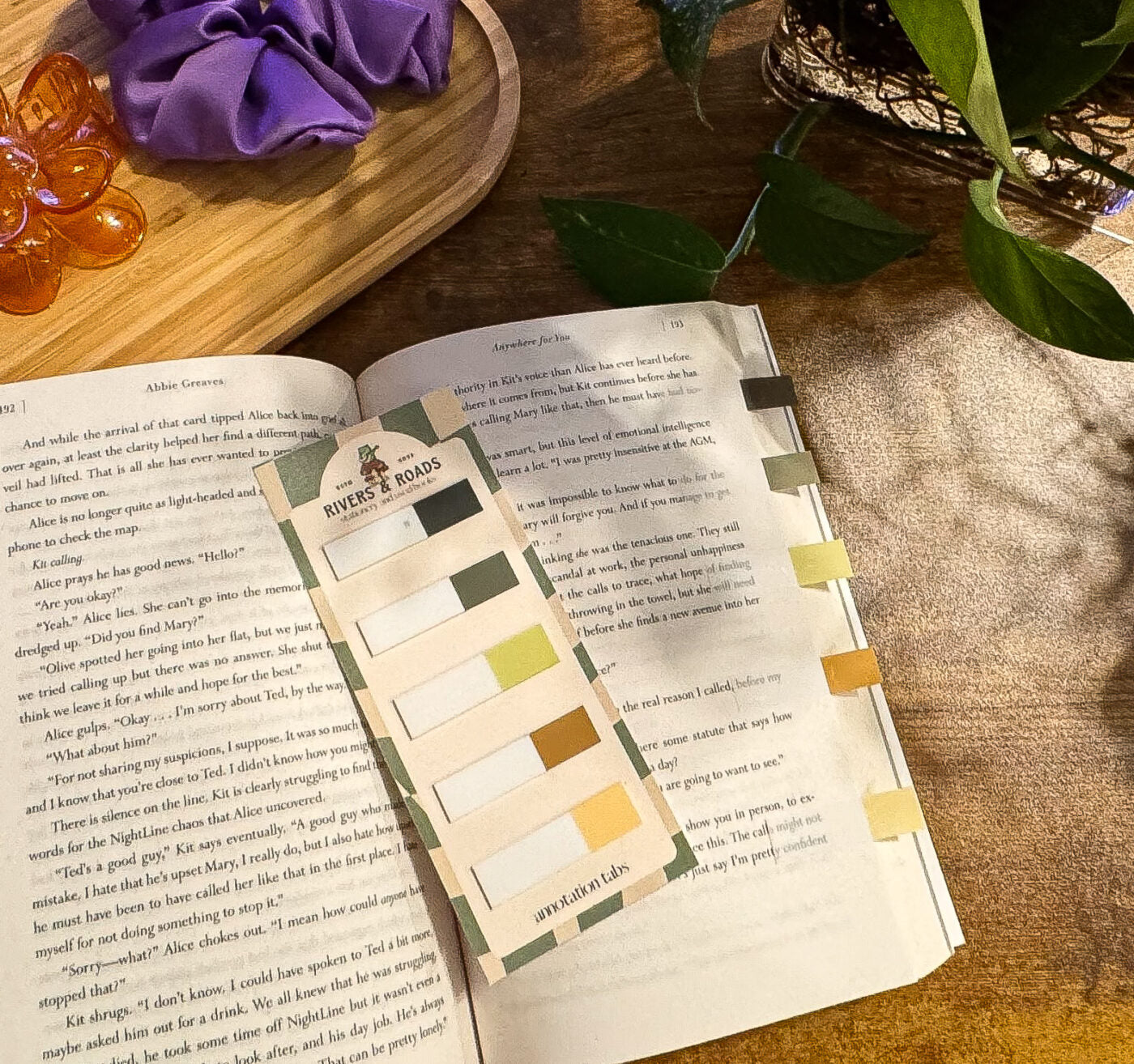 Annotation Tabs - Transparent Series 2 (choose one)