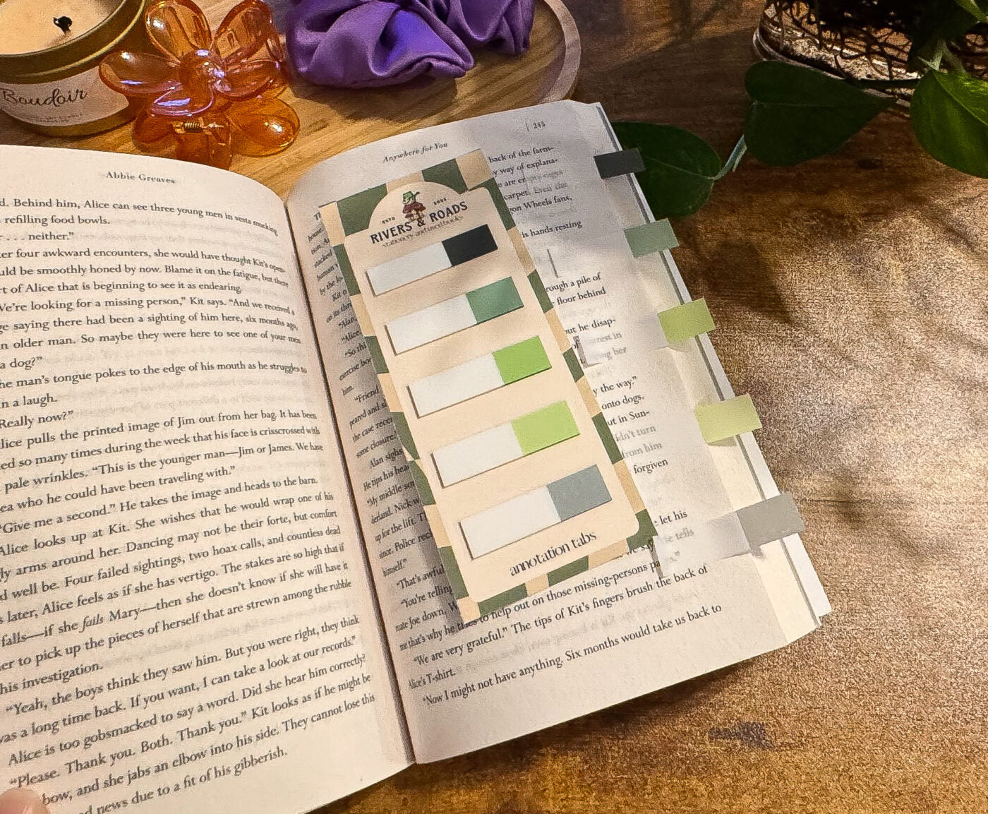 Annotation Tabs - Transparent Series 2 (choose one)