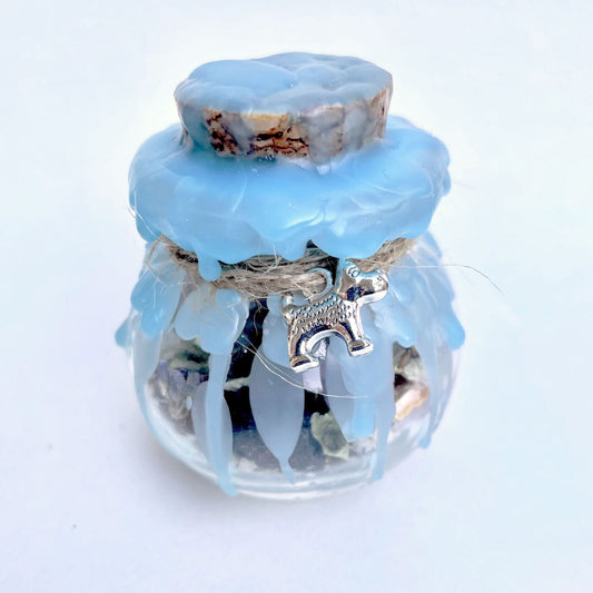 Pet Spell Jar