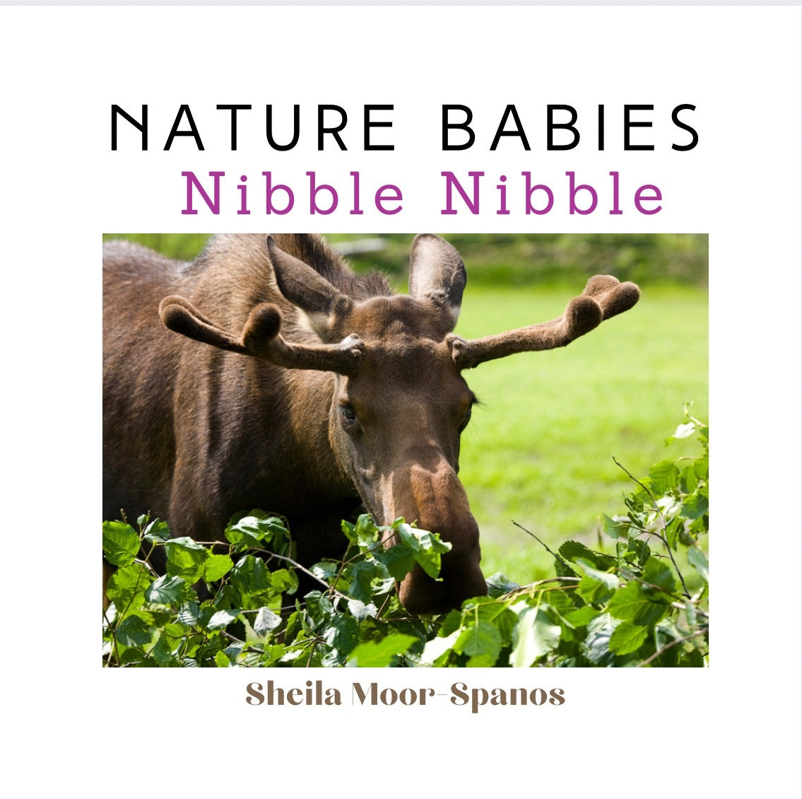 Special Bundle Price – 4 Books for $40