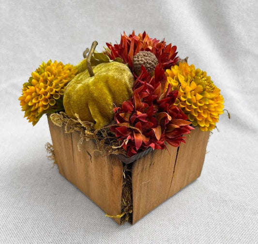 Acorns in the Pumpkin Patch