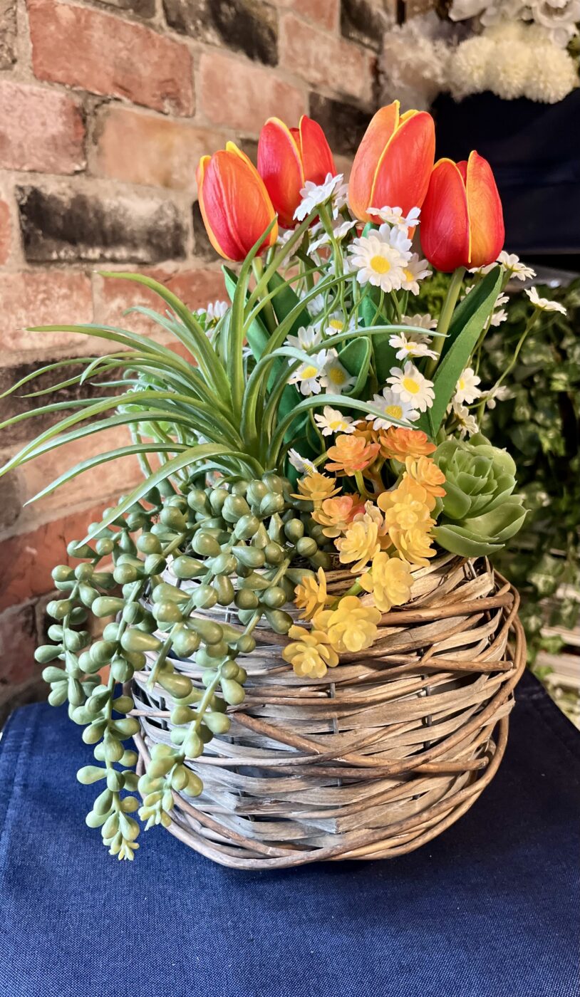 Spring’s Colour Bomb