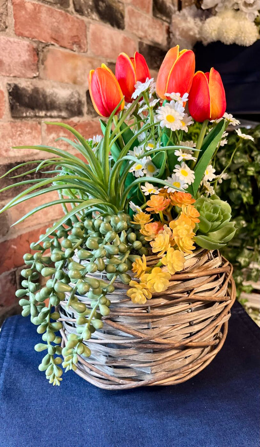 Spring’s Colour Bomb
