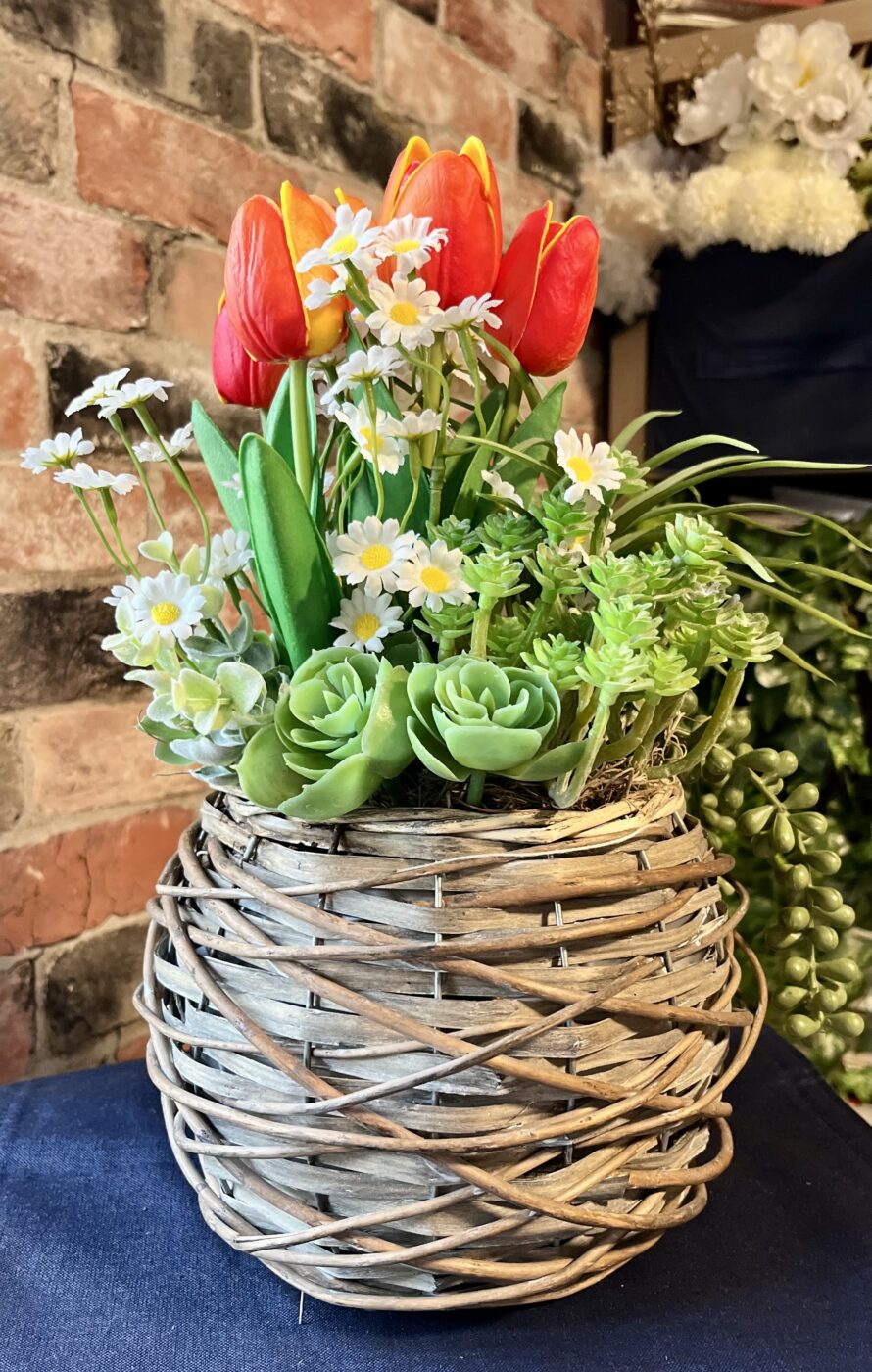 Spring’s Colour Bomb