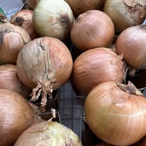 Cooking onions with papery skins, assorted sizes in a pile