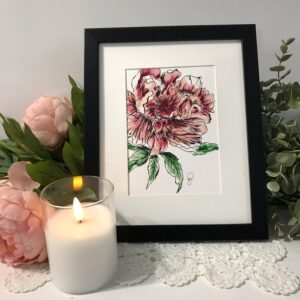 Pink Peony