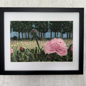 Where the Peonies Bloom