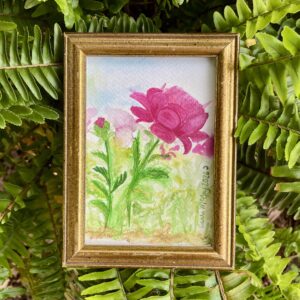 Peony