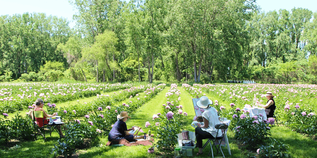 Peony Home Page Banner